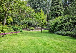 Optimiser l'expérience du jardin à Pouzay